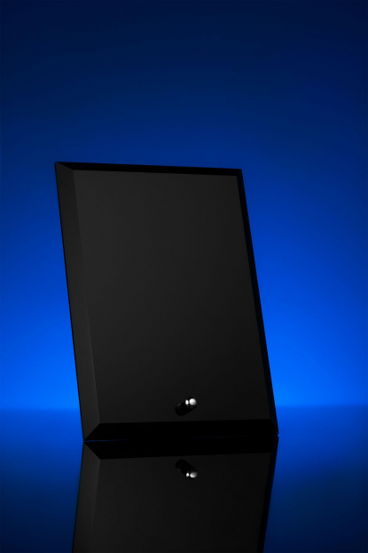 Награда Profi, чёрная, в интерьере