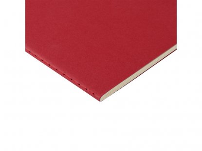 Бизнес тетрадь А5 Pragmatic, красная