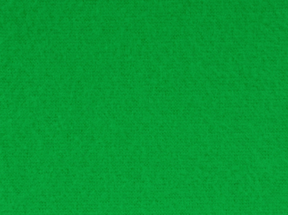 Плед флисовый Polar, зеленый, общий вид