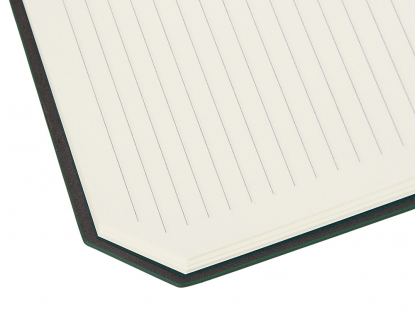 Блокнот А5 с магнитным клапаном в гибкой обложке Chaplin, зеленый