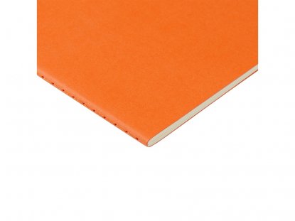 Бизнес тетрадь А5 Pragmatic, оранжевая