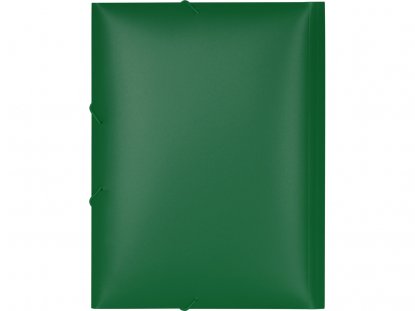 Папка А4 на резинке, зеленая, вид сзади