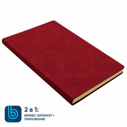 Набор Bplanner Business Power, красный