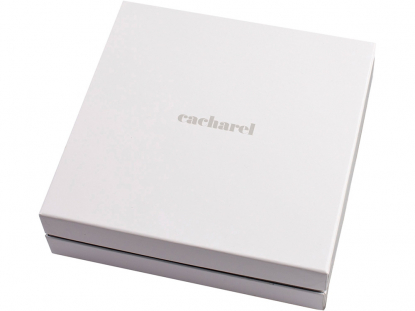 Картонная коробка белого цвета с логотипом производителя