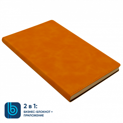 Набор Bplanner Business Power, оранжевый с синим
