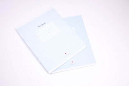 Тетради школьные Люкс с рамкой, голубые