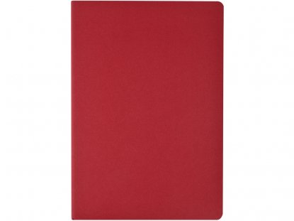 Бизнес тетрадь А5 Pragmatic, красная