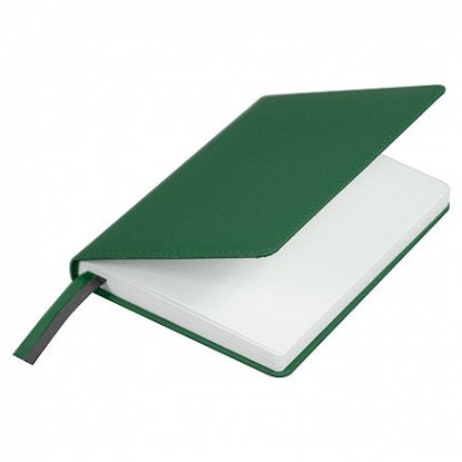 Ежедневник City Soft Touch Latte А5, зеленый