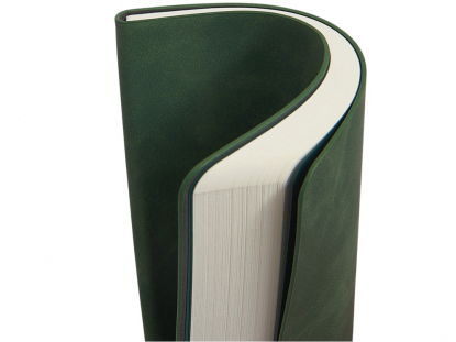 Блокнот А5 с магнитным клапаном в гибкой обложке Chaplin, зеленый