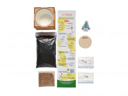 Набор для выращивания Ель Голубая