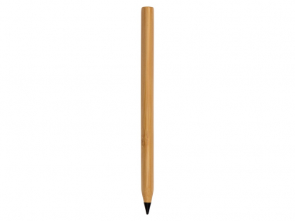 Вечный карандаш Picasso Eco, общий вид