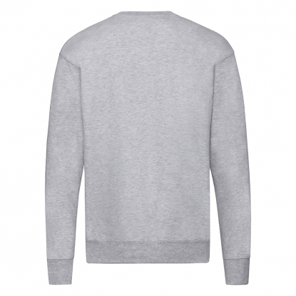 Свитшот без начеса LIGHTWEIGHT SET-IN SWEAT 240, мужской, серый, сзади