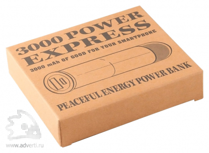 Универсальный внешний аккумулятор Power Express 3000, упаковка