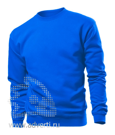 Толстовка Sweatshirt, мужская, голубая