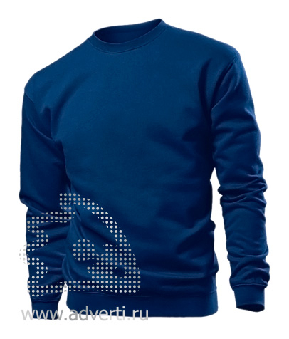 Толстовка Sweatshirt, мужская, синяя