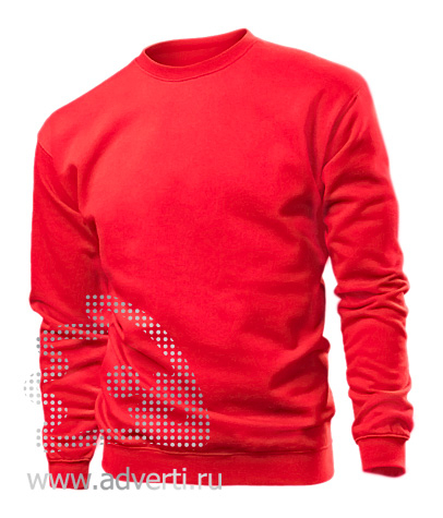 Толстовка Sweatshirt, мужская, красная