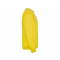 Свитшот с начесом Clasica, унисекс, желтый