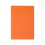 Бизнес тетрадь А5 Pragmatic, оранжевая