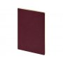 Бизнес тетрадь А5 Pragmatic, бордовая