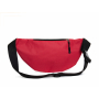 Сумка поясная Stan Belt Bag, красная