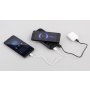 Беспроводное зарядное устройство Sticky SOFTTOUCH, 10000 mAh с подсветкой логотипа и присосками