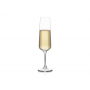 Бокал-флют для игристого Prosecco, 205 мл