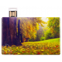 USB флешка Пластиковая карта, открытая