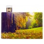 USB флешка Пластиковая карта, открытая