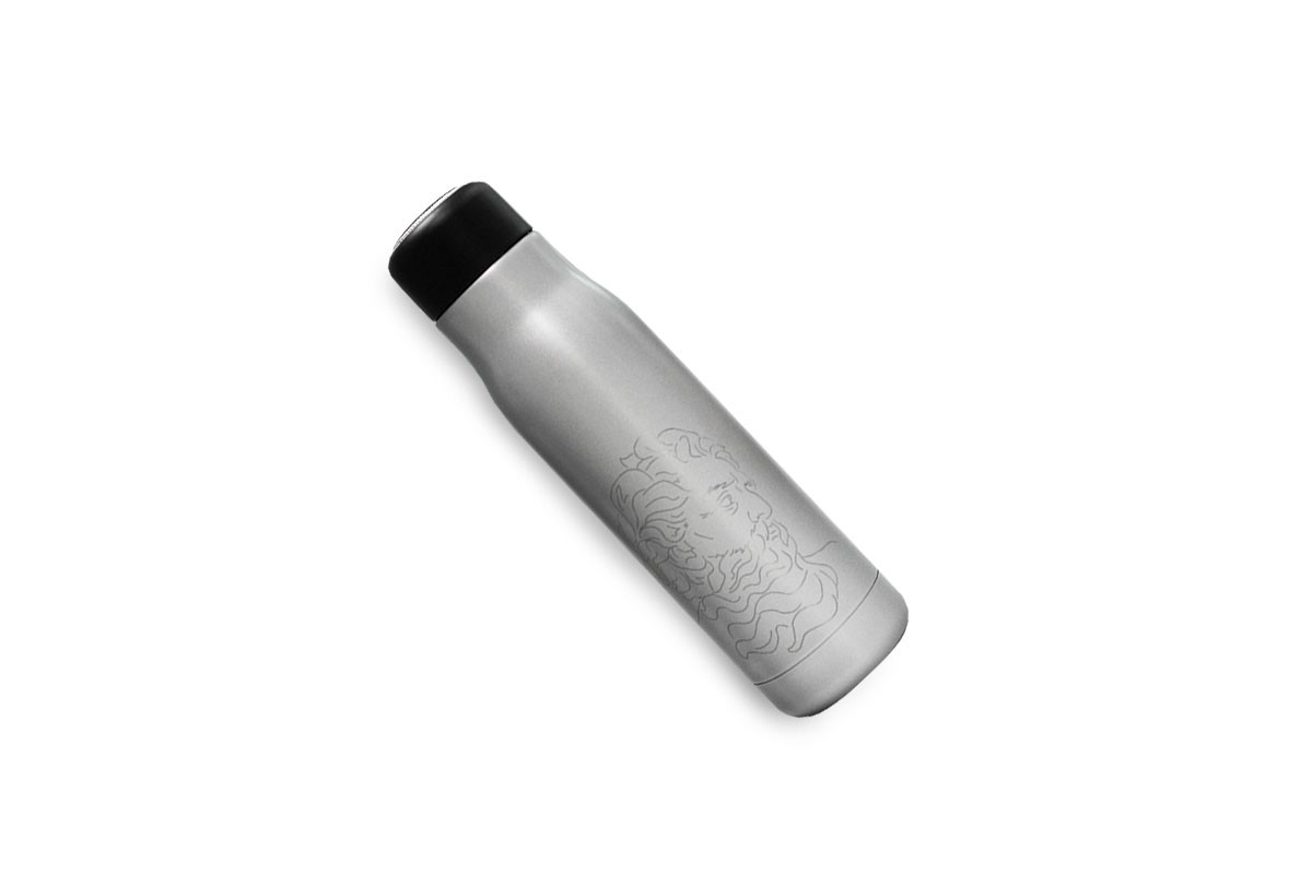 Вакуумный термос Ardent, серебристый