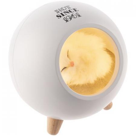 Тампопечать